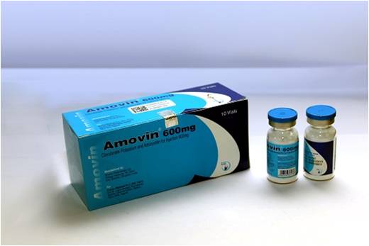 [akd071] Amovin (Clavulanate Potassium and Amoxicillin) 600mg Injection